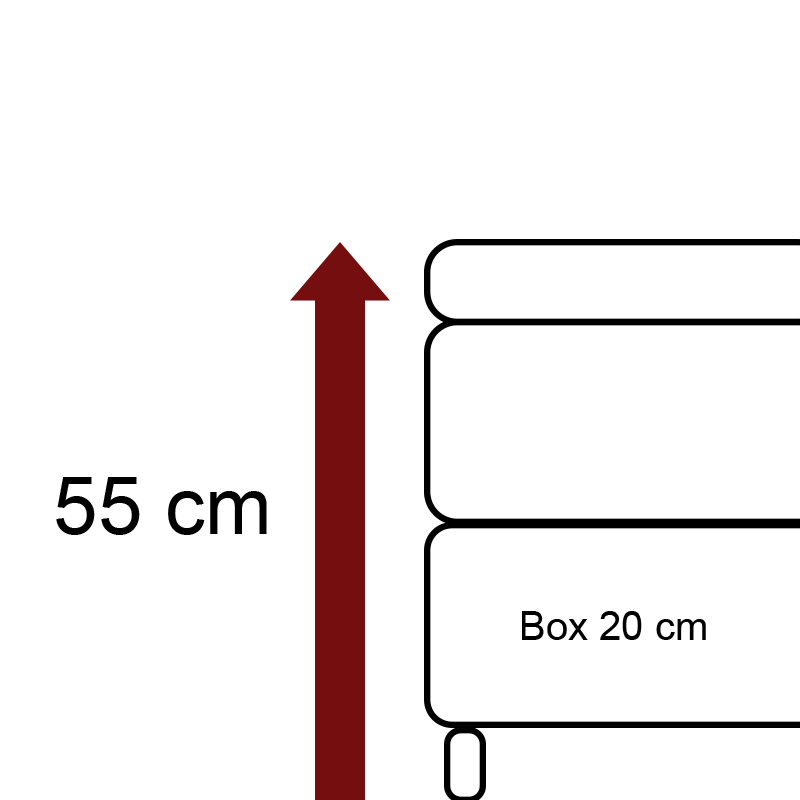 Höhe 55 cm – 7 cm Fuß – 20 cm Box