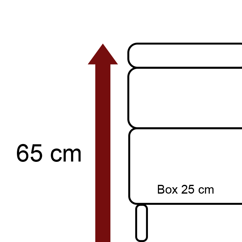 Höhe 65 cm