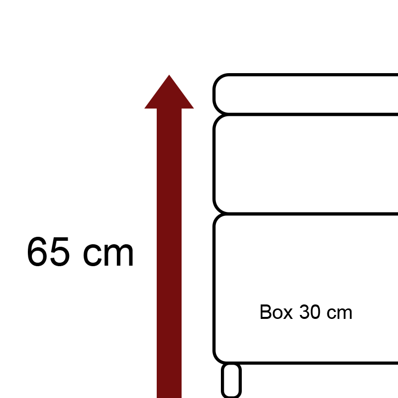 Höhe 65 cm 7 cm Fuß – 30 cm Box